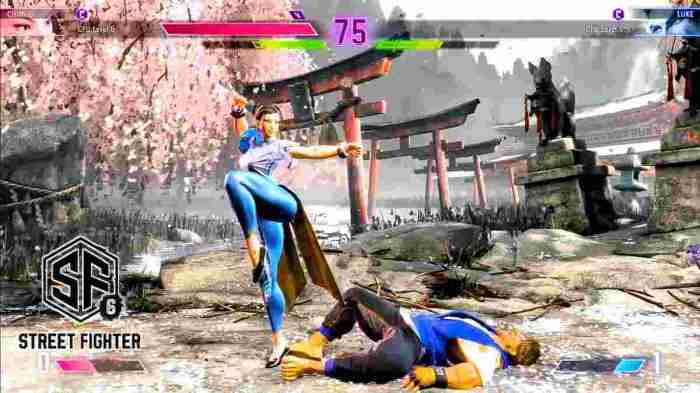 Rilis Game Fighting 