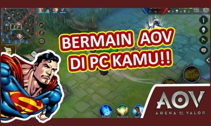 Beginilah Cara Main Arena of Valor (AOV) di PC atau Laptop! - Gamedaim