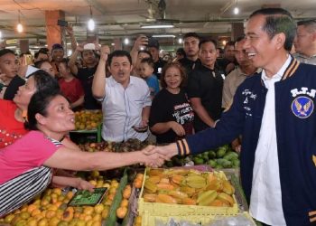 Blusukan Jokowi ke Lampung Selama Tiga Hari, Jadwal dan Lokasi Kegiatan