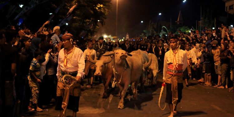 Dua Raja Klaim Gelar Kirab 1 Suro, Walikota Solo Diminta Terlibat Langsung
