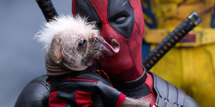 Ryan Reynolds Konfirmasi Film Baru Deadpool Segera Hadir