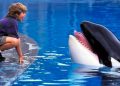 Reboot Film Free Willy Dikerjakan oleh Perusahaan Produksi Russo Brothers