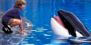 Reboot Film Free Willy Dikerjakan oleh Perusahaan Produksi Russo Brothers