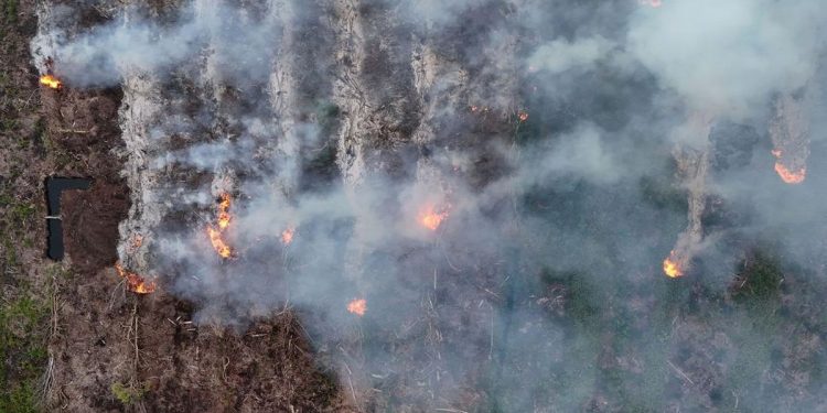 Catatan BPBD Terkait 306 Kasus Karhutla di Sumsel hingga Juli 2026