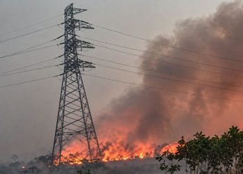 Artis Indonesia Bersatu Suarakan Isu Karhutla di Kalimantan