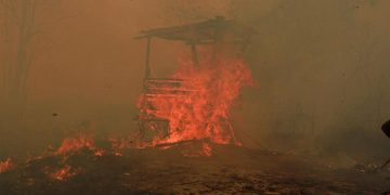 Catatan 936 Hektare Hutan dan Lahan Terbakar di Kaltim dari BPBD