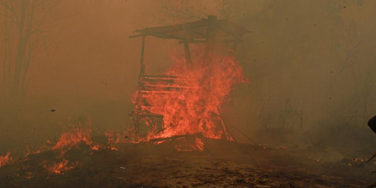 Catatan 936 Hektare Hutan dan Lahan Terbakar di Kaltim dari BPBD