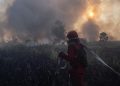 Kenaikan Hotspot Karhutla Kalsel, Penambahan Pasukan Darat dan Water Bombing