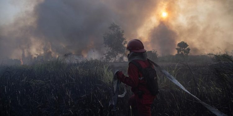 Kenaikan Hotspot Karhutla Kalsel, Penambahan Pasukan Darat dan Water Bombing