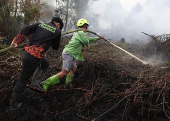 Kebakaran Hutan Sebabkan 50.891 Kasus ISPA dalam Dua Bulan