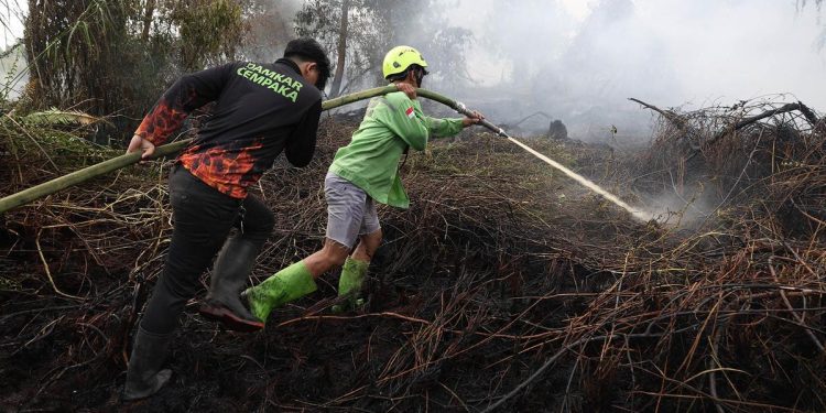 Kebakaran Hutan Sebabkan 50.891 Kasus ISPA dalam Dua Bulan