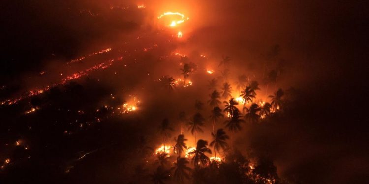 19 Perusahaan Diduga Penyebab Utama Lonjakan Kasus ISPA
