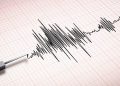 Rumah dan Sekolah Rusak Akibat Gempa M6,1 Guncang Sumba