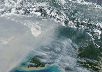 Jumlah Titik Panas Karhutla di Papua Selatan Turun Menjadi 65 Hotspot