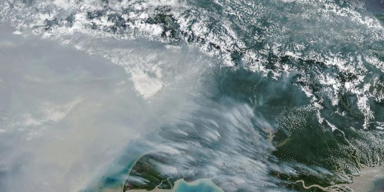 Jumlah Titik Panas Karhutla di Papua Selatan Turun Menjadi 65 Hotspot