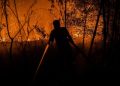 9 Relawan Meninggal Saat Berjuang Memadamkan Kebakaran Hutan dan Lahan