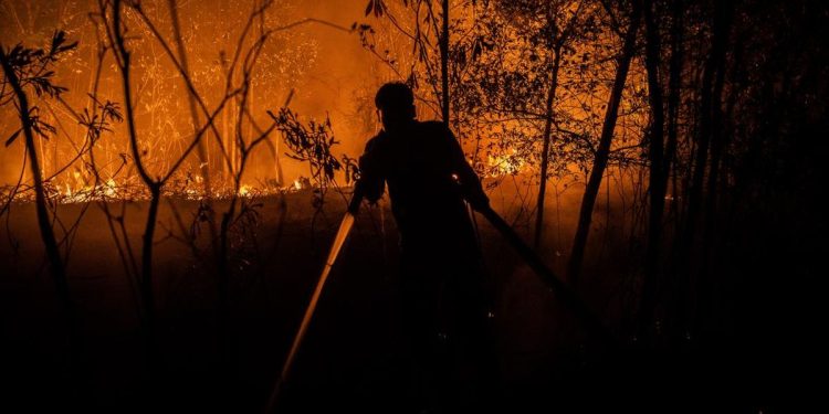9 Relawan Meninggal Saat Berjuang Memadamkan Kebakaran Hutan dan Lahan